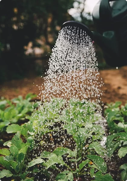 Tủ điều khiển và giám sát ao nuôi thủy sản – Giải pháp tự động hóa toàn diện