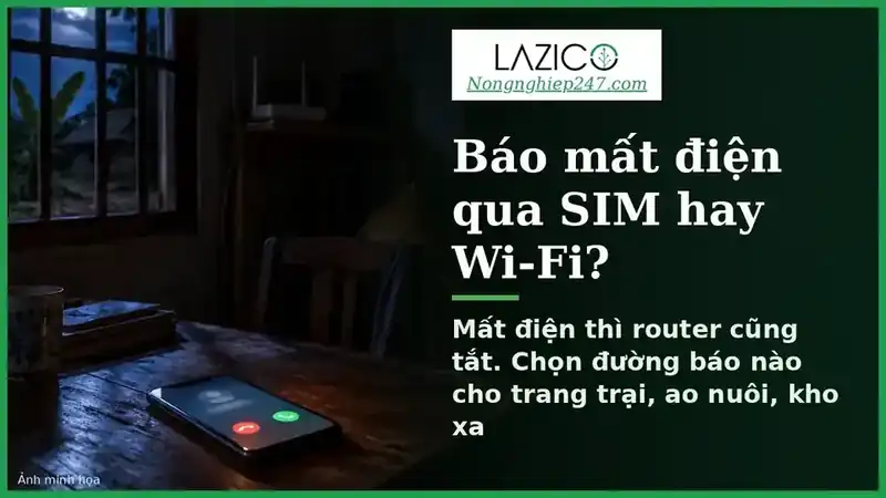 LAZICO